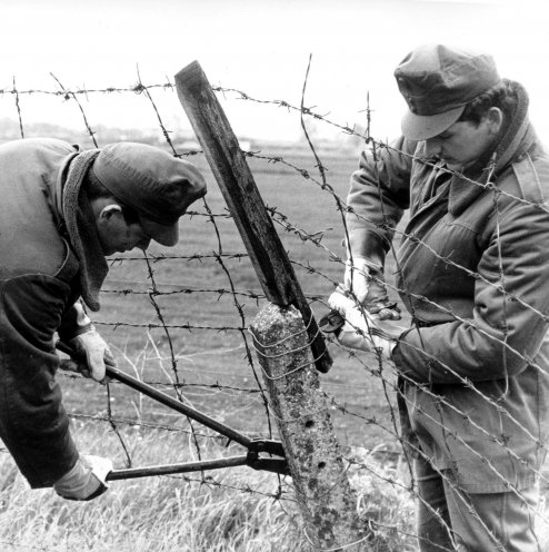 Ungarische Grenzsoldaten, Stacheldrahtzaun