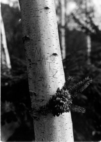 Am 12. April 1981 stirbt Matz in der Stasi-U-Haftanstalt Gera. Seine Freunde sind sich sicher: Er ist ein Opfer der Stasi. SED und Stasi wollen keinerlei Erinnerung an Matthias Domaschk zulassen, nicht einmal auf dem Friedhof. In Ermangelung eines Grabsteins...