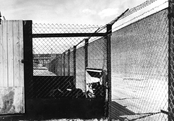 Hundezwinger im Zuchthaus Brandenburg-Görden. Stiftung Brandenburgische Gedenkstätten