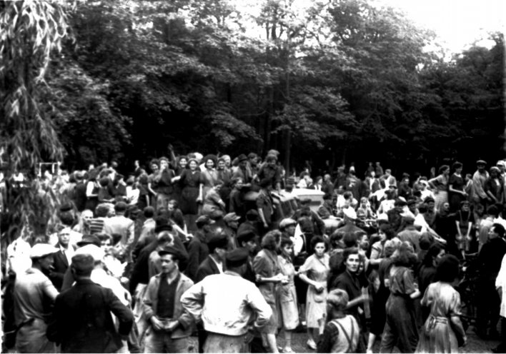 Am Vormittag des 17. Juni 1953 versammeln sich immer mehr Menschen auf dem zentralen Platz der Jugend und den nahe gelegenen Binnengartenwiesen. Zwischen 30.000 und 50.000 Menschen strömen aus Bitterfeld und den umliegenden Ortschaften zusammen. Bitterfeld...