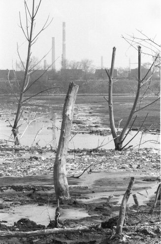 Verseuchte Flüsse und Seen: Industrieabfälle werden ohne Rücksicht auf die Umwelt entsorgt. Hier Umweltzerstörungen in der Region Bitterfeld/Wolfen. Quelle: Robert-Havemann-Gesellschaft/Andreas Kämper/RHG_Fo_AnKae_3533