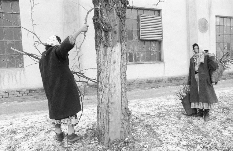 Nach sozialistischer Misswirtschaft und Bürgerkrieg liegt die Wirtschaft am Boden. Es fehlt an den notwendigsten Sachen. Frauen suchen in den Straßen von Timisoara nach Brennholz. Quelle: Robert-Havemann-Gesellschaft/Bernd Markowsky/RHG_Fo_BeMa_539b
