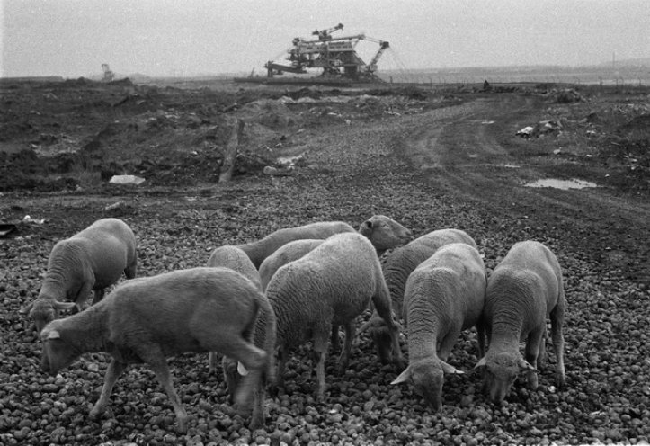 Riesige Tagebaue stillen den Hunger der Industrie nach Braunkohle. Das Ergebnis der Umweltzerstörung sind nicht nur Smog, saurer Regen und Waldsterben, sondern auch mondähnliche Landschaften, wie hier bei Eythra bei Leipzig. Quelle: Robert-Havemann-Gesellschaft/Volker...