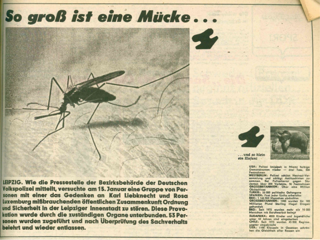 Propaganda-Polemik: Das Zentralorgan der FDJ Junge Welt vom 21./22. Januar 1989 zu den Ereignissen um die Luxemburg-Liebknecht-Demonstration am 15. Januar 1989 in Leipzig. Das Regime ahnt noch nicht, dass es in gut neun Monaten abdanken darf. Quelle:...