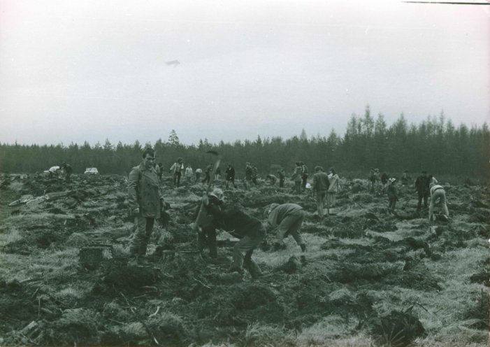 Schwerin macht Schule: Baumpflanzaktion in der Dresdner Heide 1982. Quelle: Robert-Havemann-Gesellschaft/Klaus Gaber