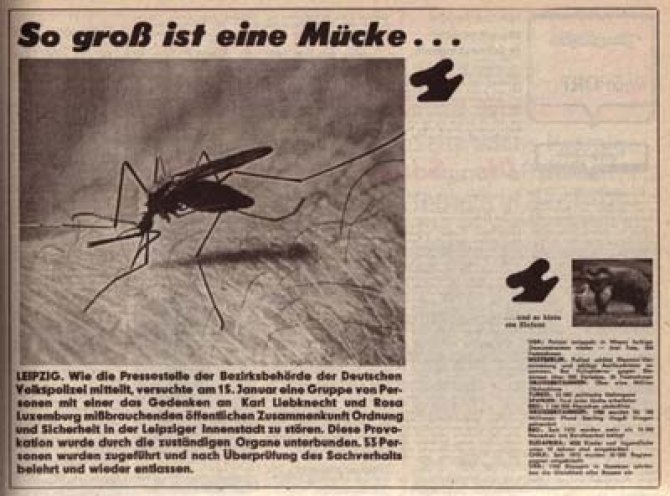 Propaganda-Polemik: Das Zentralorgan der FDJ Junge Welt vom 21./22. Januar 1989 zu den Ereignissen um die Luxemburg-Liebknecht-Demonstration am 15. Januar 1989 in Leipzig. Das Regime ahnt noch nicht, dass es in gut neun Monaten abdanken darf.