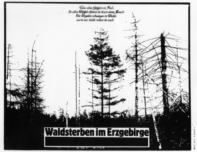 Tote Bäume überall: In den staatlich gelenkten DDR-Medien spielt das Thema Umweltzerstörung keine Rolle. Doch die Umweltschäden sind nicht mehr zu übersehen. Hier ein Plakat der unabhängigen Umweltbewegung zur Problematik des Waldsterbens in der...